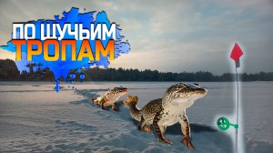 Один водоем, два дня рыбалки. Жерлицы.