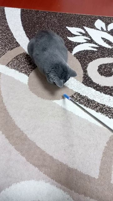 гуглик и палочка