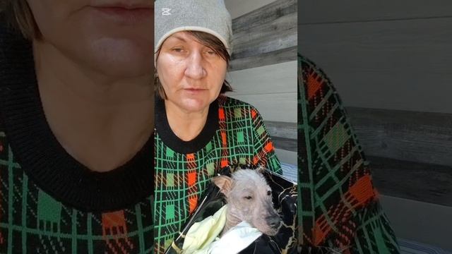 У Снежка выявили ленточные глисты смотреть онлайн