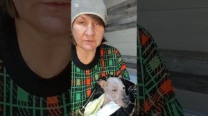 У Снежка выявили ленточные глисты