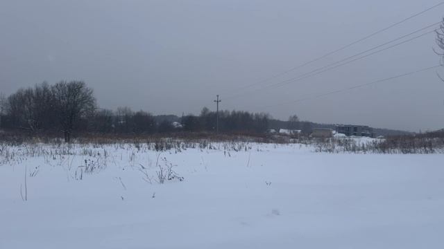 10925923 28012026 смотреть онлайн