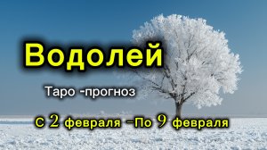 ВОДОЛЕЙ 💖ТАРО ПРОГНОЗ ‼️02.02-09.02(2026) #прогноз #таро #водолей