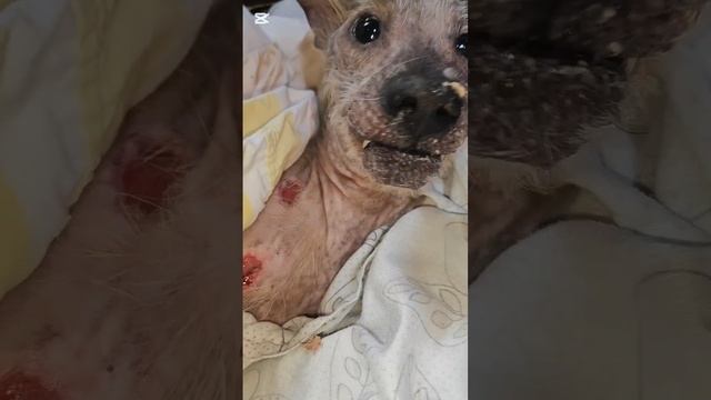 Очередной сеанс массажа смотреть онлайн