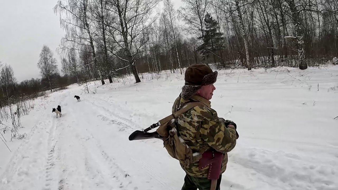 Встретил охотника ! По снегу в гору ! ХУТОР В ЛЕСУ №957 смотреть онлайн