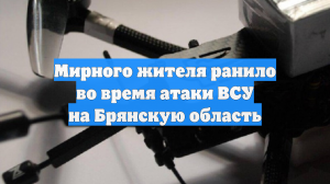 Один человек пострадал при атаке дрона в Брянской области