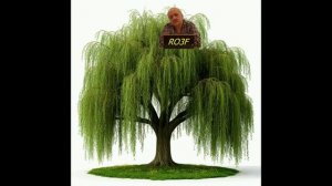 01508-Ива ивушка_26.01.2026 г.