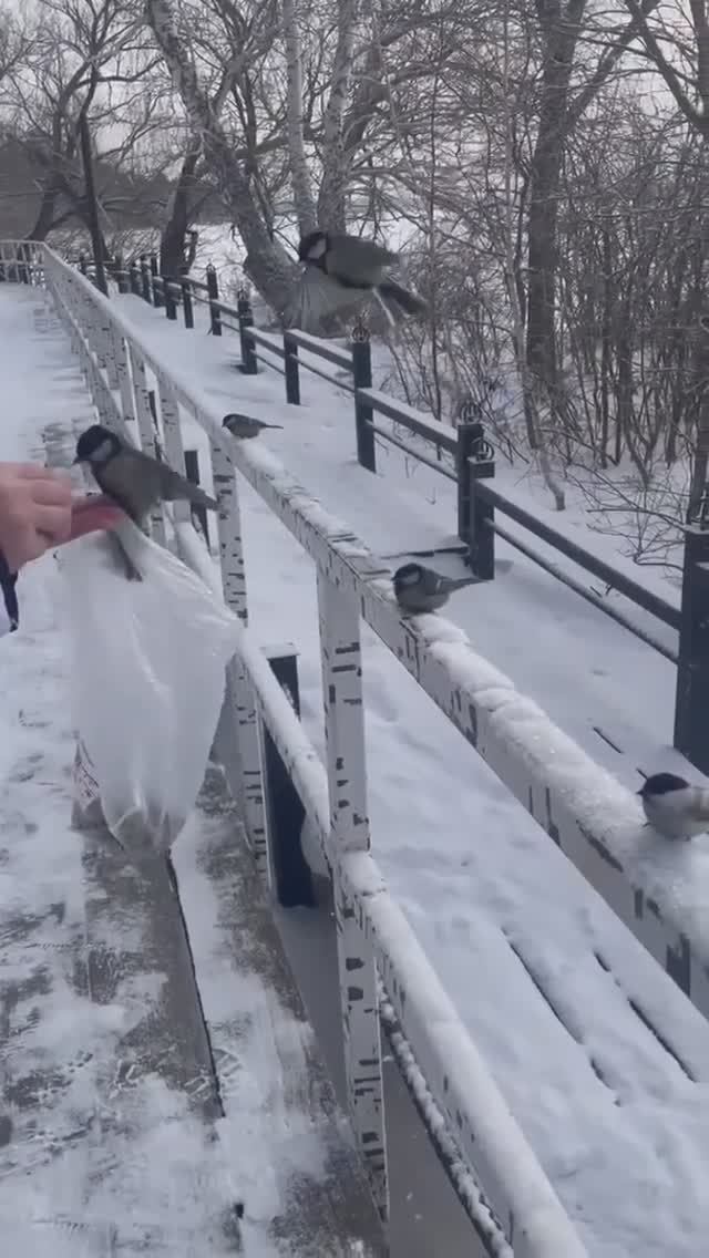 🤗 смотреть онлайн