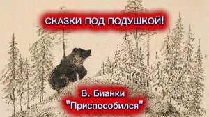 В.Бианки "Приспособился"