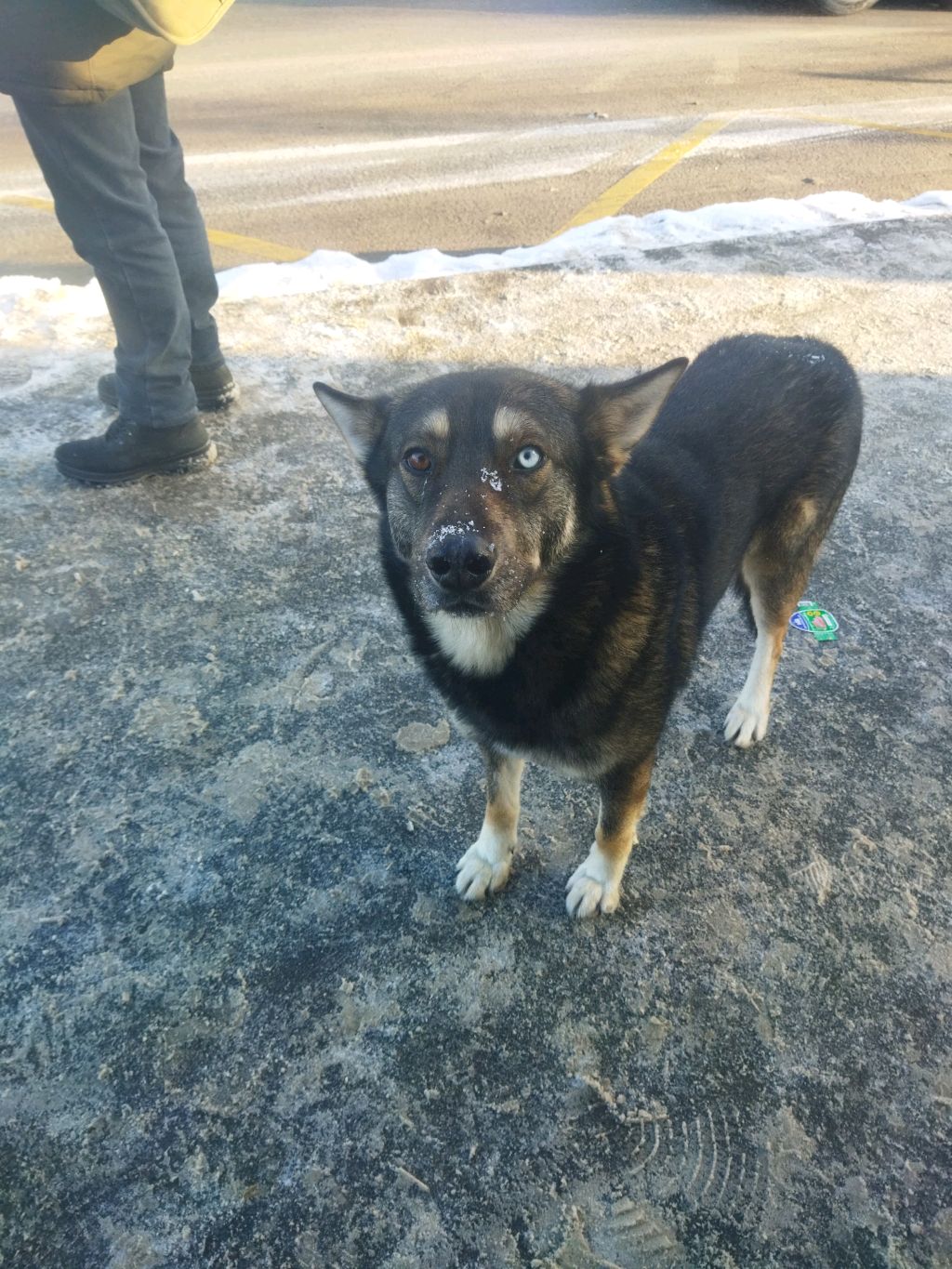 обожаже смотреть онлайн