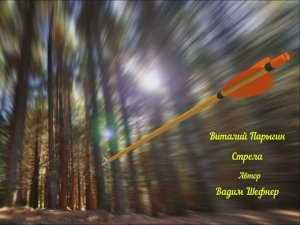 Виталий Парыгин - Стрела