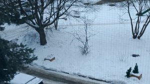 Вид из моего окна,погода,трансляция