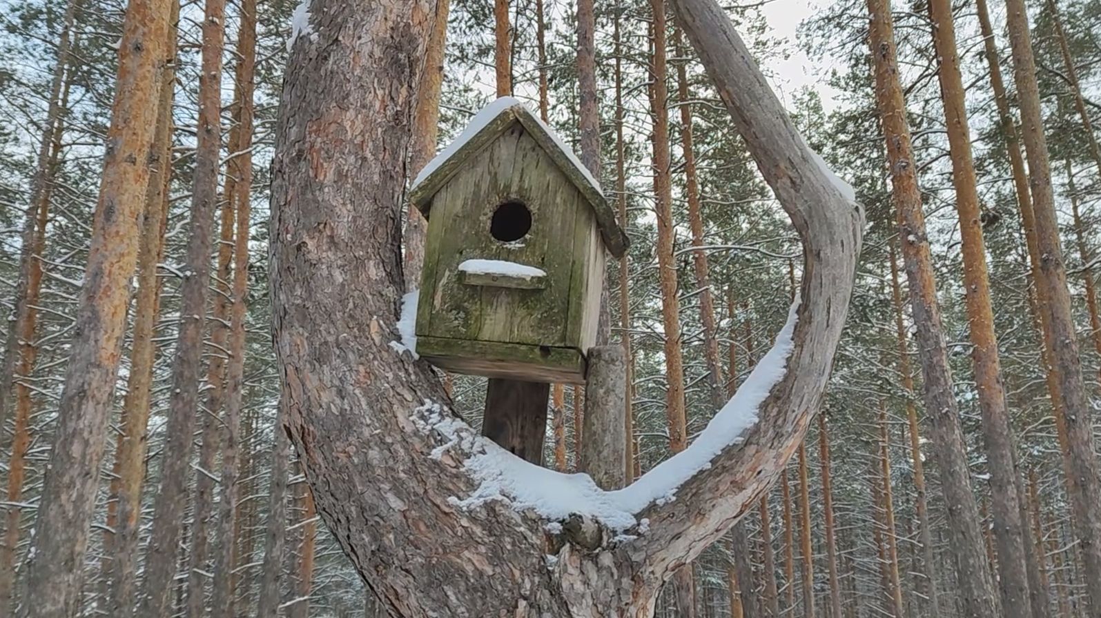 Тренировочный поход смотреть онлайн