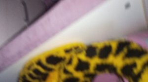 небольшой влог с миланой