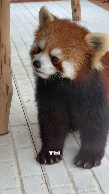 Парк Янода на Хайнане