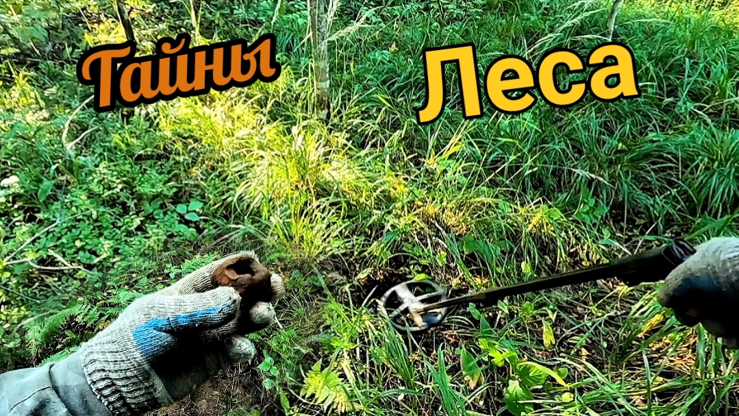 Лесные находки радуют! А коп не задался.. смотреть онлайн