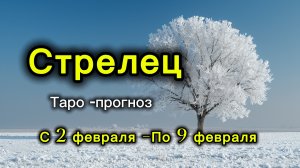 СТРЕЛЕЦ 💖ТАРО ПРОГНОЗ ‼️02.02-09.02(2026) #прогноз #таро #стрелец