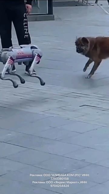 Unitree Go2 новая эра роботов собак!🐶🤖 смотреть онлайн