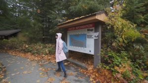 Однодневный поход в Олимпийский национальный парк, США