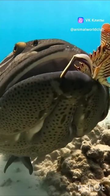 2026-01-27 смотреть онлайн