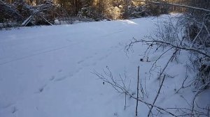 Дневник охотника. !6-ый день в лесу.