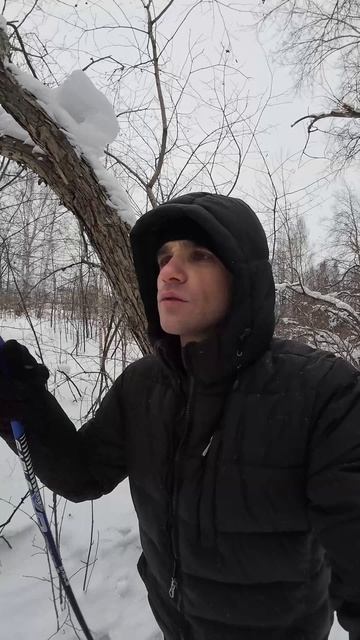 ЛЫЖНЫЙ МАРАФОН В ЯНВАРЕ / VLOG / 28. 01. 2026 смотреть онлайн