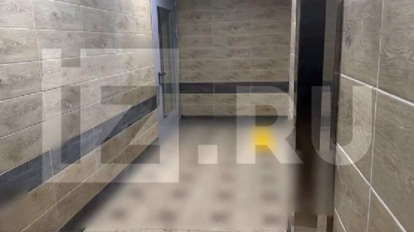 Напавшего на жену и ребенка с ножом москвича арестовали на два месяца смотреть онлайн