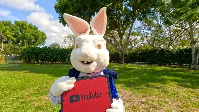 Настя и картонный отель смотреть онлайн