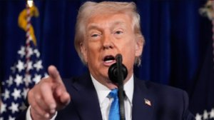 Богданов: демократы будут атаковать Трампа по теме миграции до самых выборов