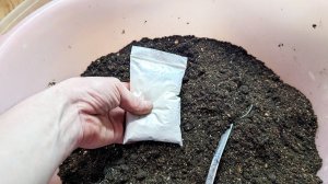 Что добавить в грунт под посадку рассады помидор и перца, чтобы получить супер коренастые растения?!