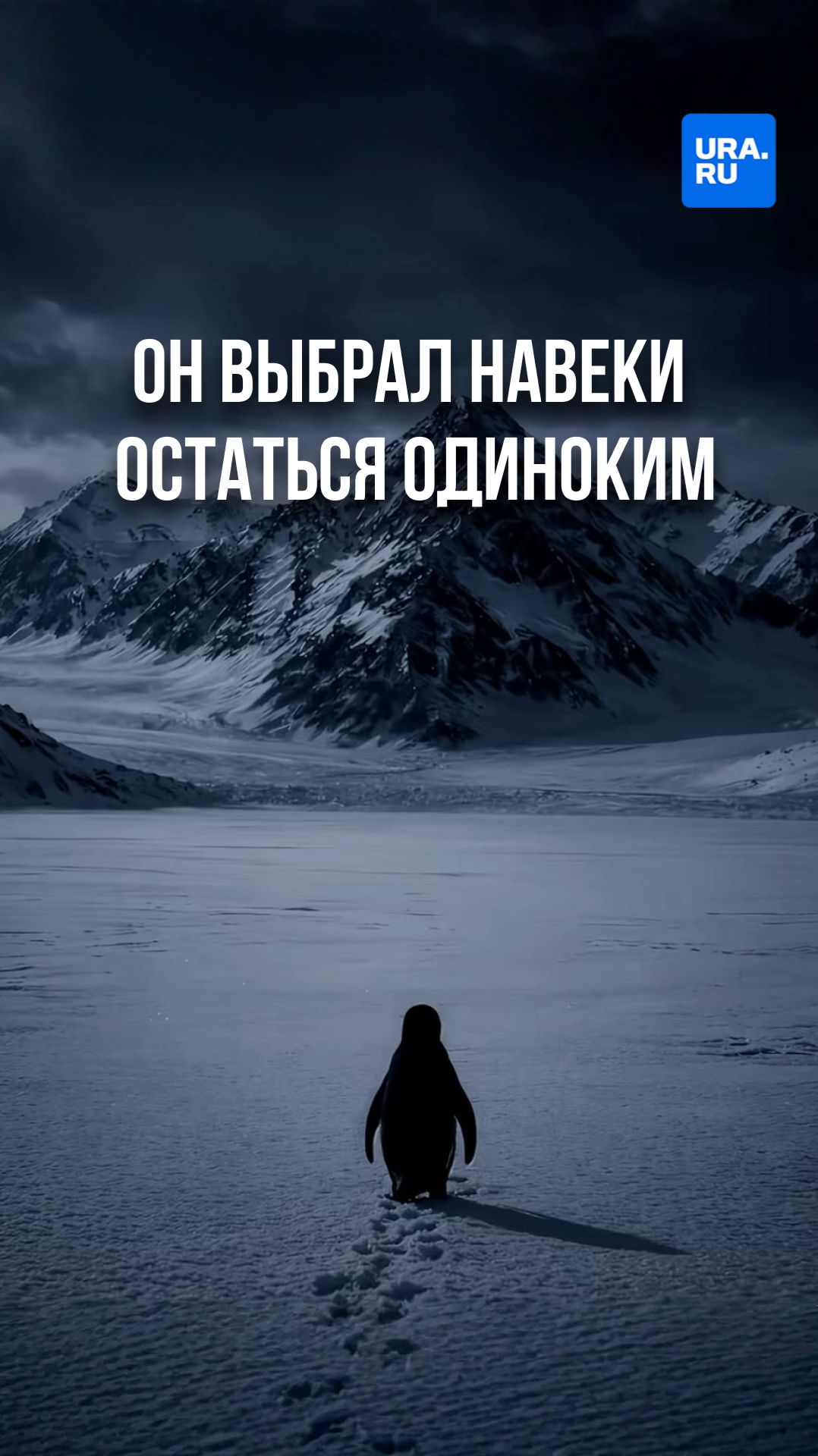 Этот пингвин решил навеки остаться одиноким смотреть онлайн