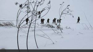 Стало известно об уничтожении командного пункта ВСУ в Сумской области