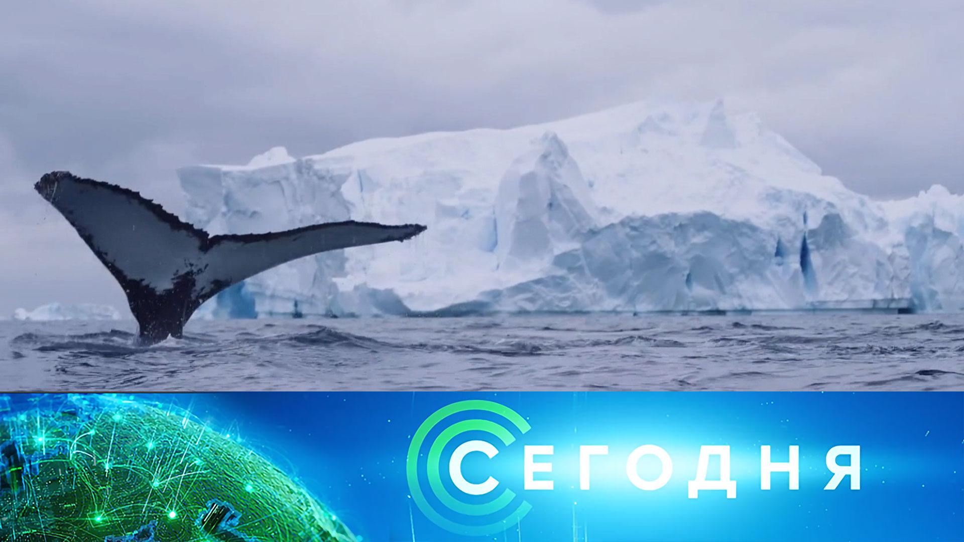 «Сегодня»: 28 января 2026 года. 13:00 | Выпуск новостей | Новости НТВ смотреть онлайн