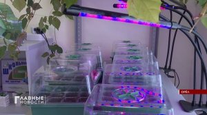 Орловские первоклассники выиграли современное агрооборудование, стоимостью 40 тысяч рублей.