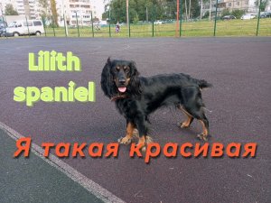 Все привет!👋