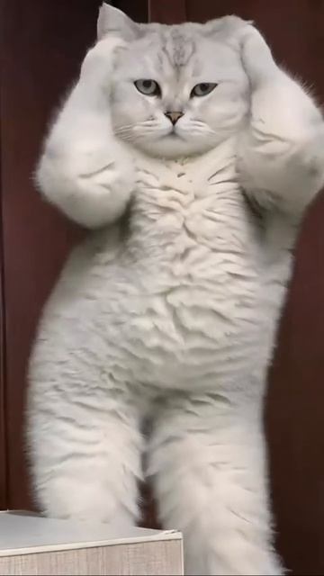 😍😍😍 смотреть онлайн