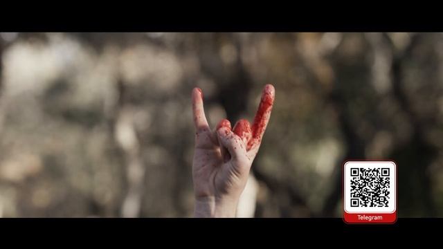 Телеграм-канал SHOT TV - 2026 смотреть онлайн