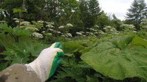 Там давно бросили металл