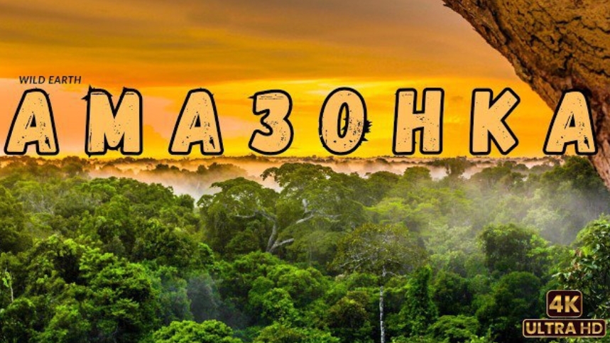 Дикая Амазонка. Легенда джунглей. смотреть онлайн