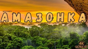 Дикая Амазонка. Легенда джунглей.