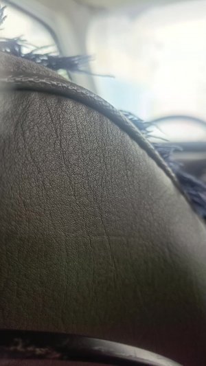 живём в машине, помогите, кто чем может.5599002085331330юмани