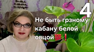 Не быть грязному кабану белой овцой💯❗️