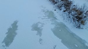 Январский лёд на реке Быстрица