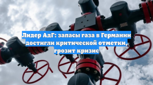 Лидер АдГ: запасы газа в Германии достигли критической отметки, грозит кризис