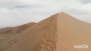 МАМА Я В ЗАПАДНЕ, НАПИСАЛА ЮЛЯ И ПРОПАЛА. КОГДА ЕЕ НАШЛИ, МАТЬ УВИДЕЛА СЛЕДЫ ЧУДОВИЩНЫХ ПЫТОК.