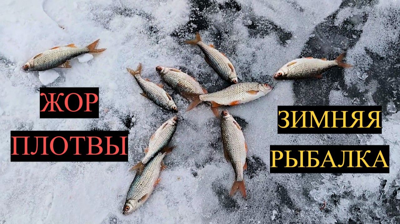 ЗИМНЯЯ РЫБАЛКА НА ПЛОТВУ! ГЛУХОЗИМЬЕ РАЗДАЁТ! ЛУЧШАЯ ПРИКОРМКА НА ПЛОТВУ ЗИМОЙ! РЫБАЛКА 2026 смотреть онлайн