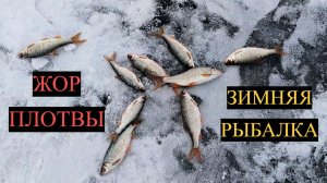 ЗИМНЯЯ РЫБАЛКА НА ПЛОТВУ! ГЛУХОЗИМЬЕ РАЗДАЁТ! ЛУЧШАЯ ПРИКОРМКА НА ПЛОТВУ ЗИМОЙ! РЫБАЛКА 2026