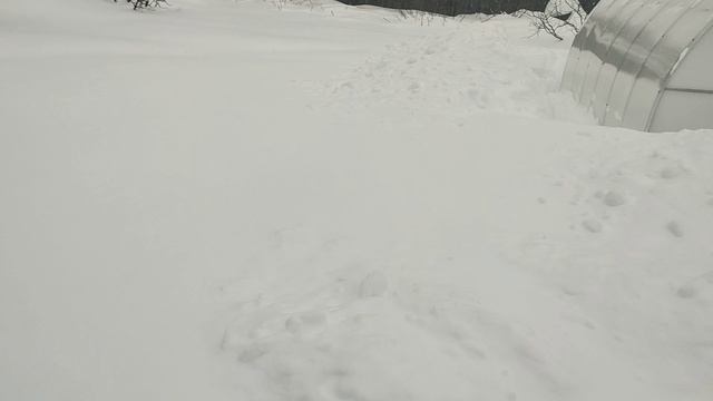 ПИЯРЮСЯ🤫😲 на канале РОЗЫ🌹???ИЛИ ВЫСКАЗЫВАЮ СВОЁ МНЕНИЕ🤔.??? О как загнала🤭😃 смотреть онлайн