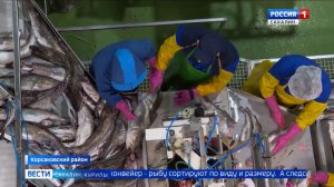 "Вести. Сахалин. Курилы". 27 января 2026 года