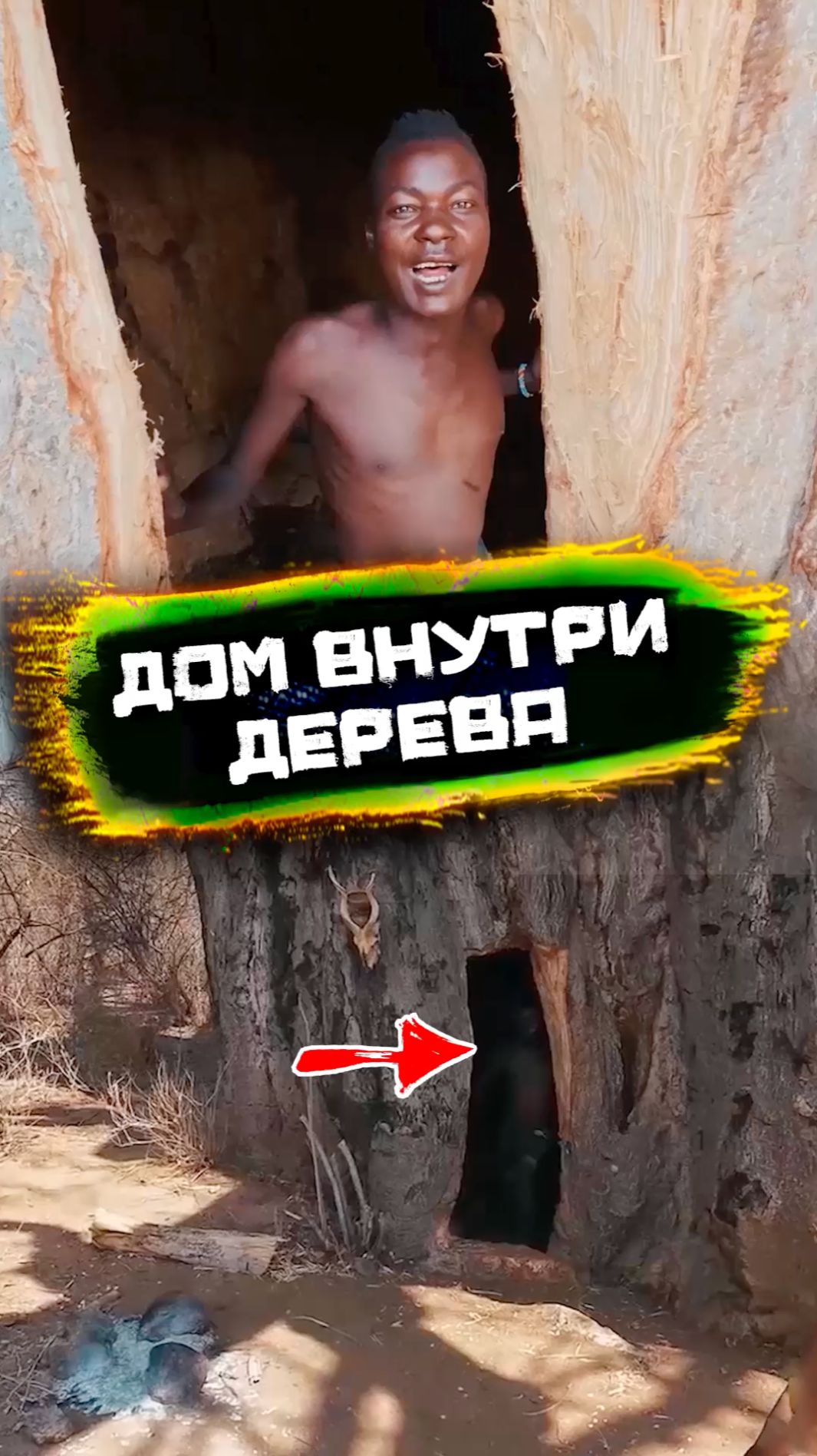 Впервые вижу дом внутри дерева смотреть онлайн