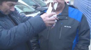 Голубиный рынок Рязань 16.10.2022